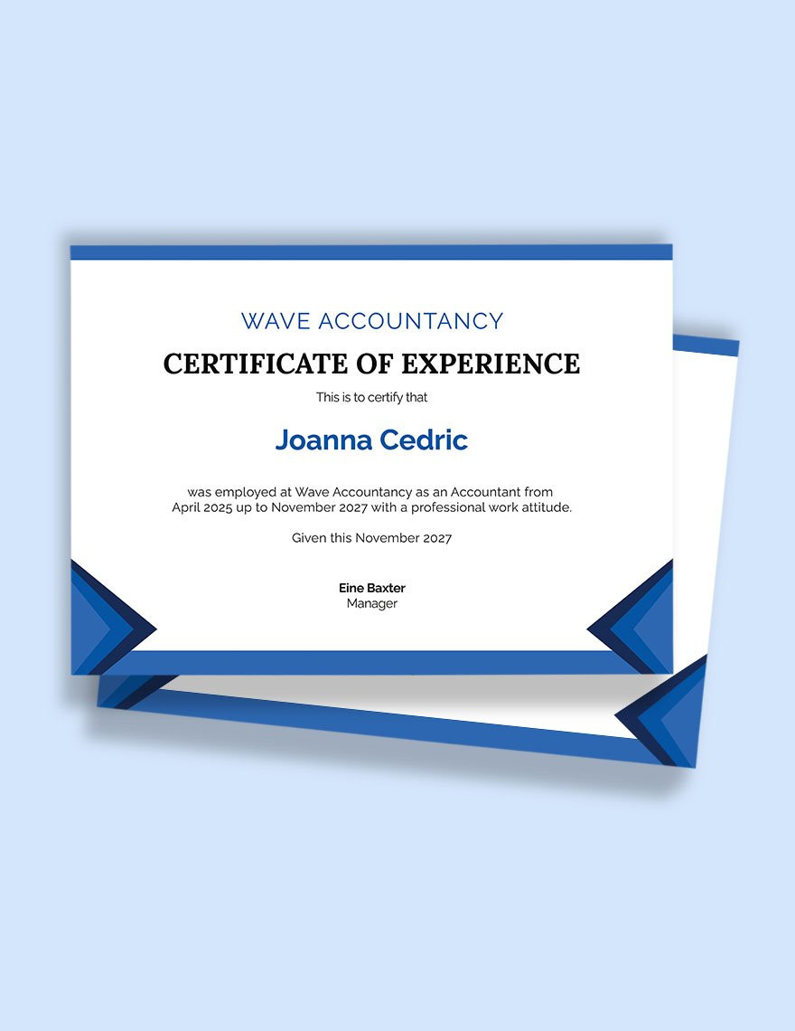 sample Work Experience Certificate template