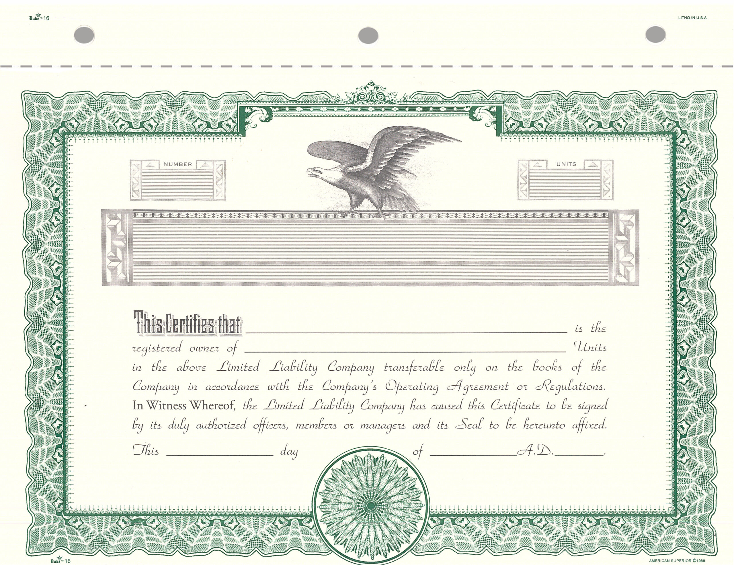 sample Llc Member Certificate template