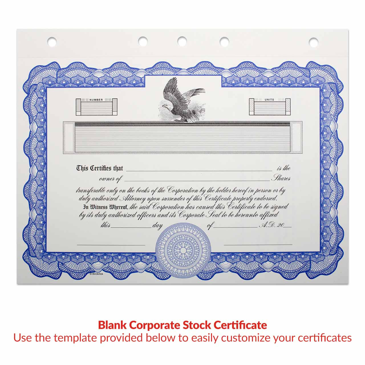 sample stock certificate template