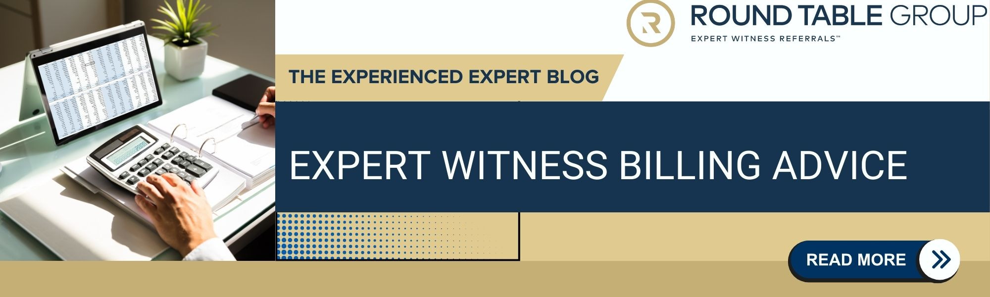 sample expert witness invoice template