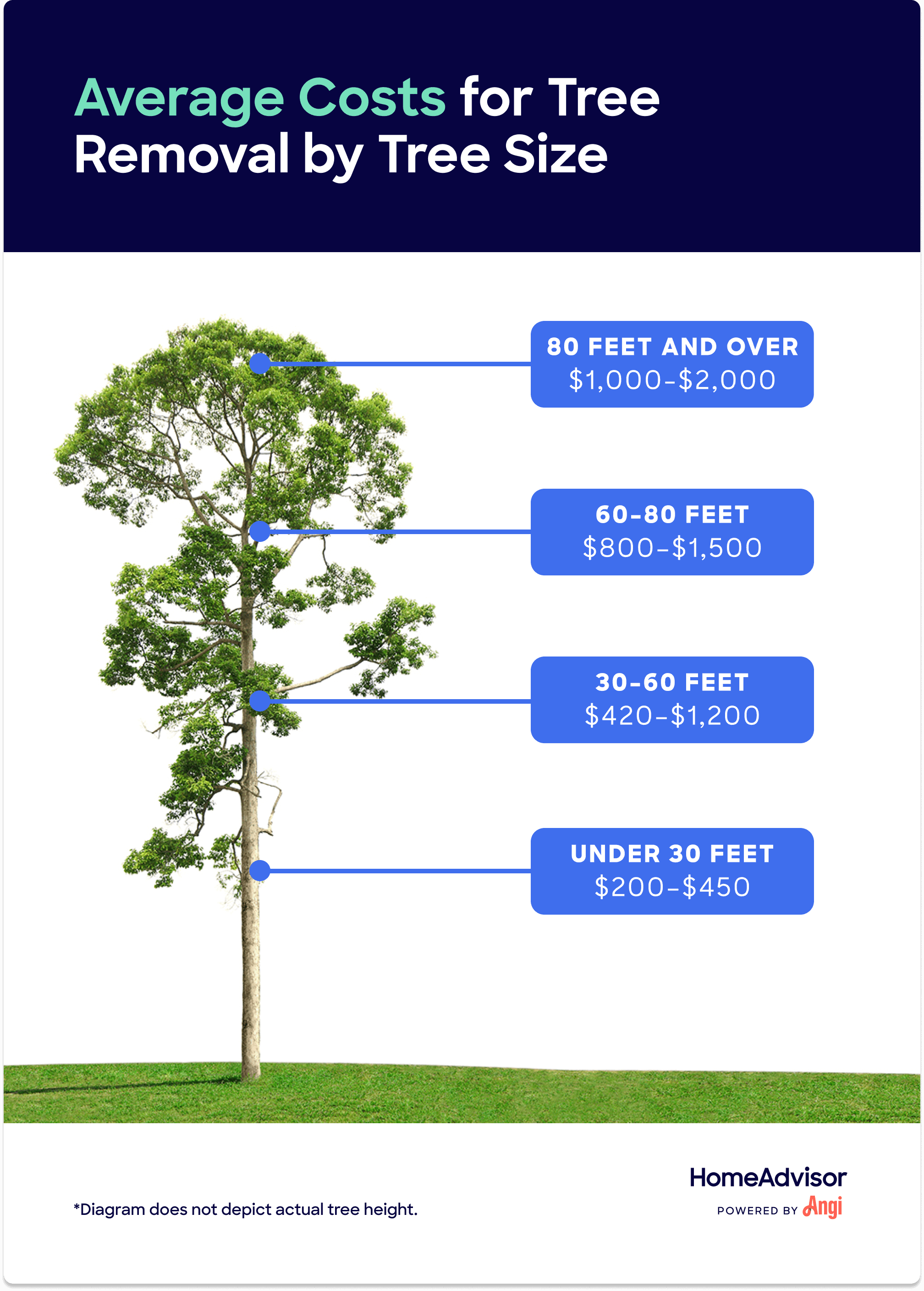 sample tree removal estimate template