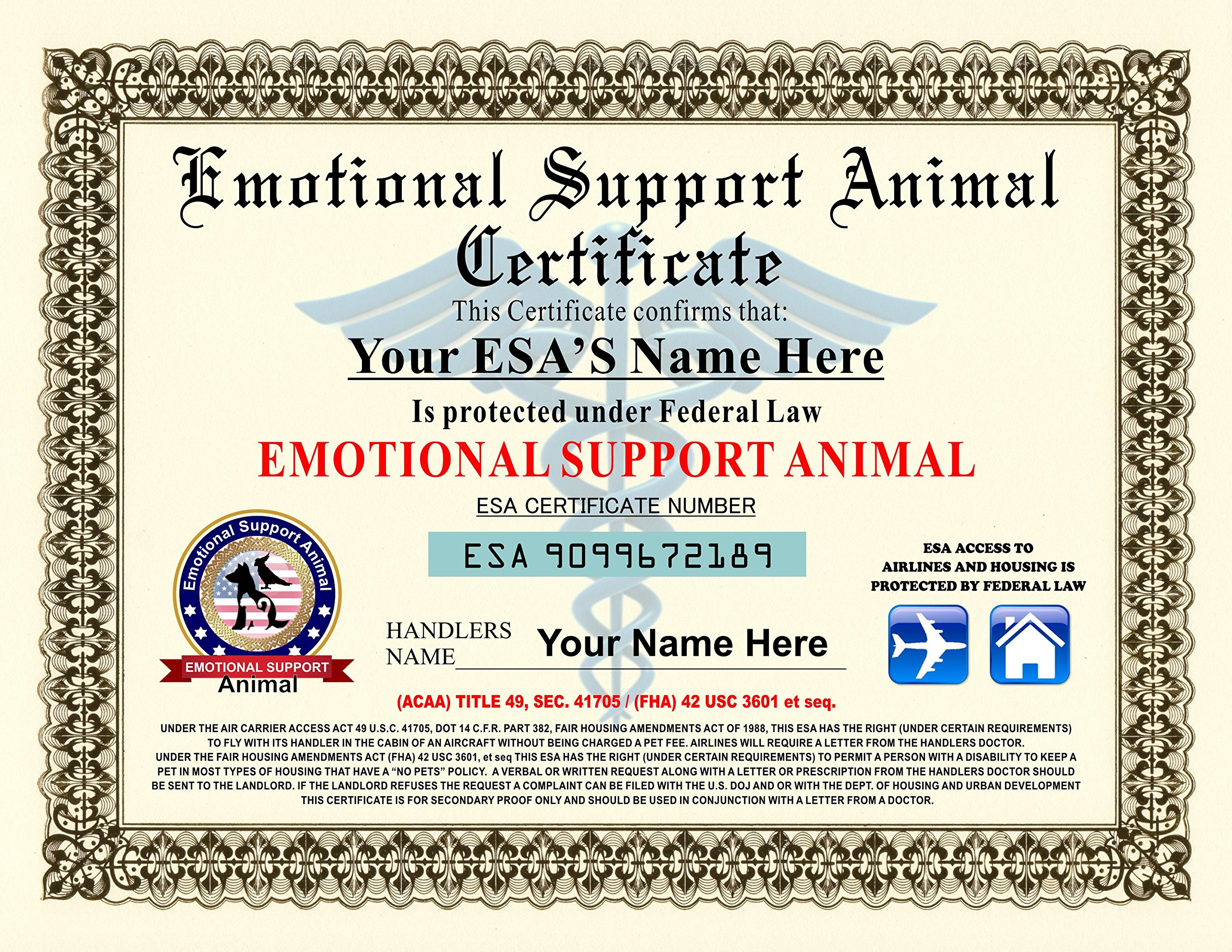 sample Emotional Support Animal Certificate template