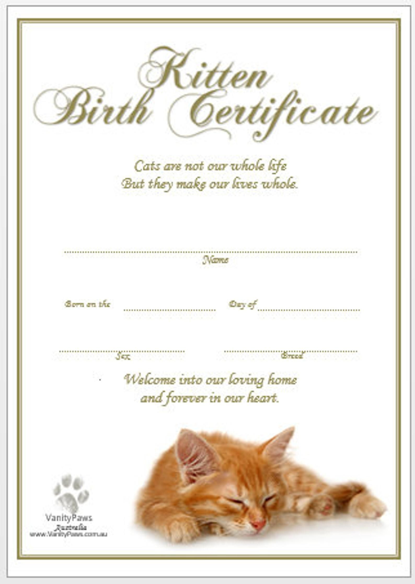 sample cat birth certificate template