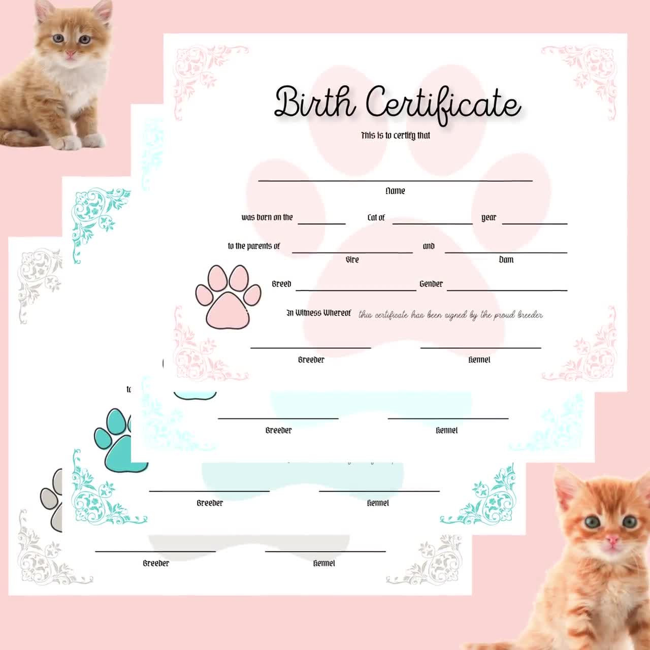 sample cat birth certificate template