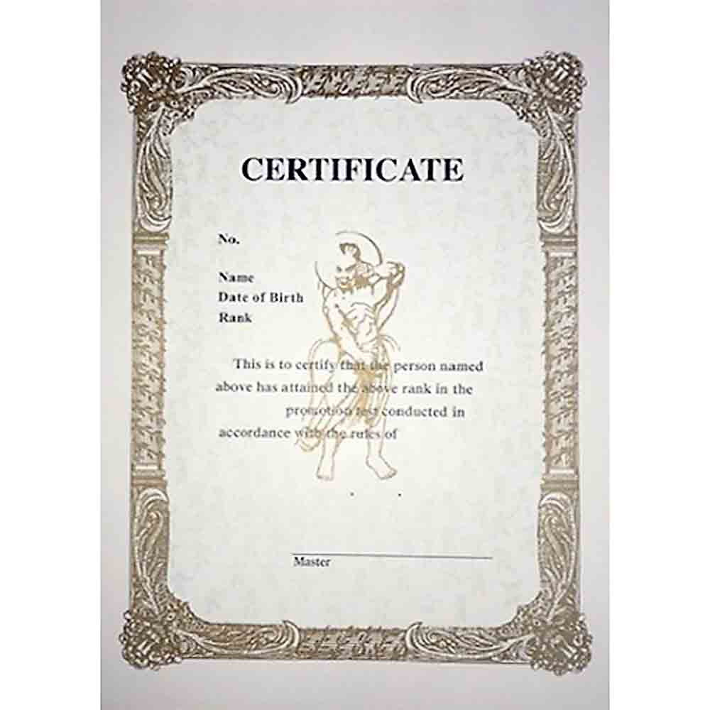 sample Martial Art Certificate template