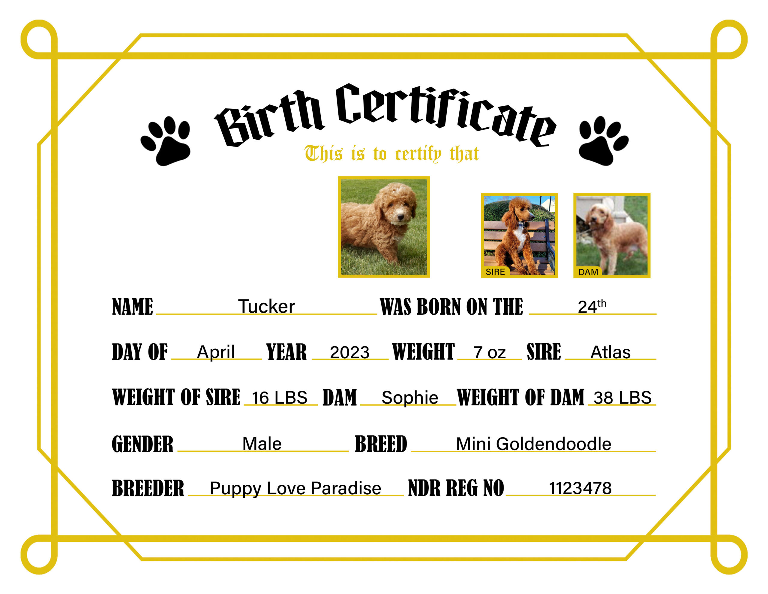 Printable Dog Birth Certificate Template