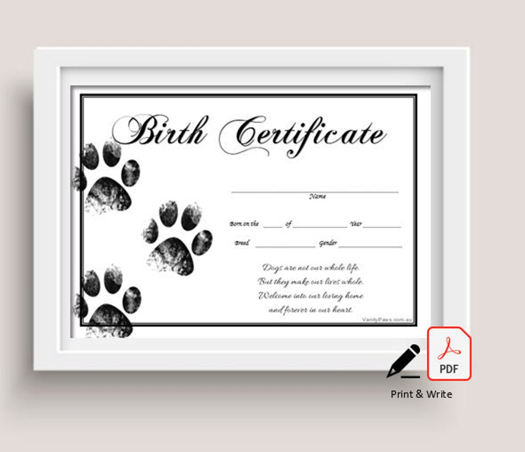 sample cat birth certificate template