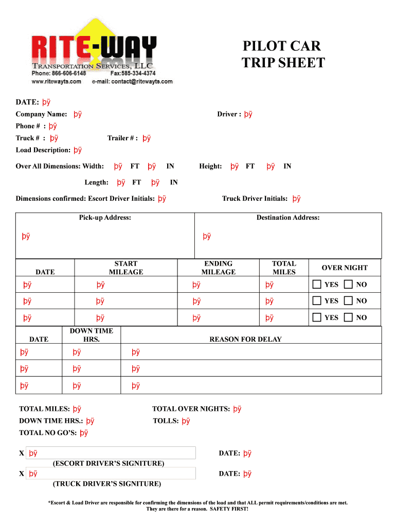 sample contract pilot invoice template