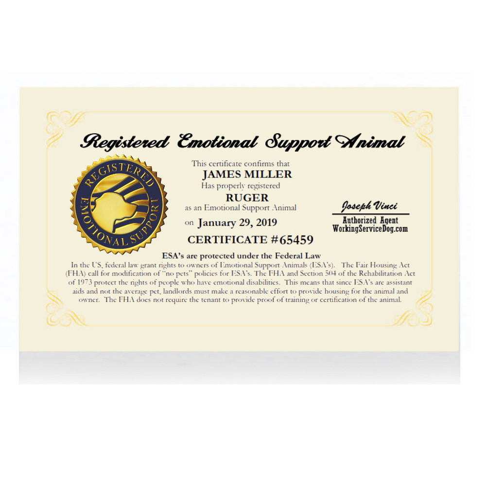 sample Emotional Support Animal Certificate template