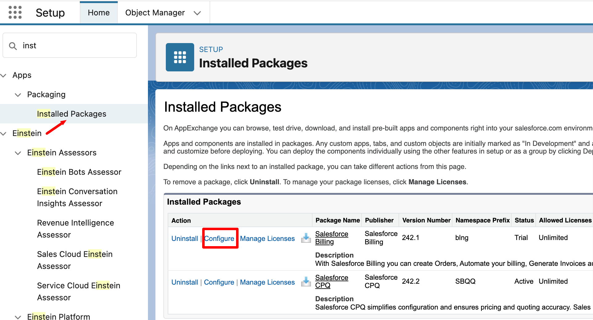 sample salesforce invoice template