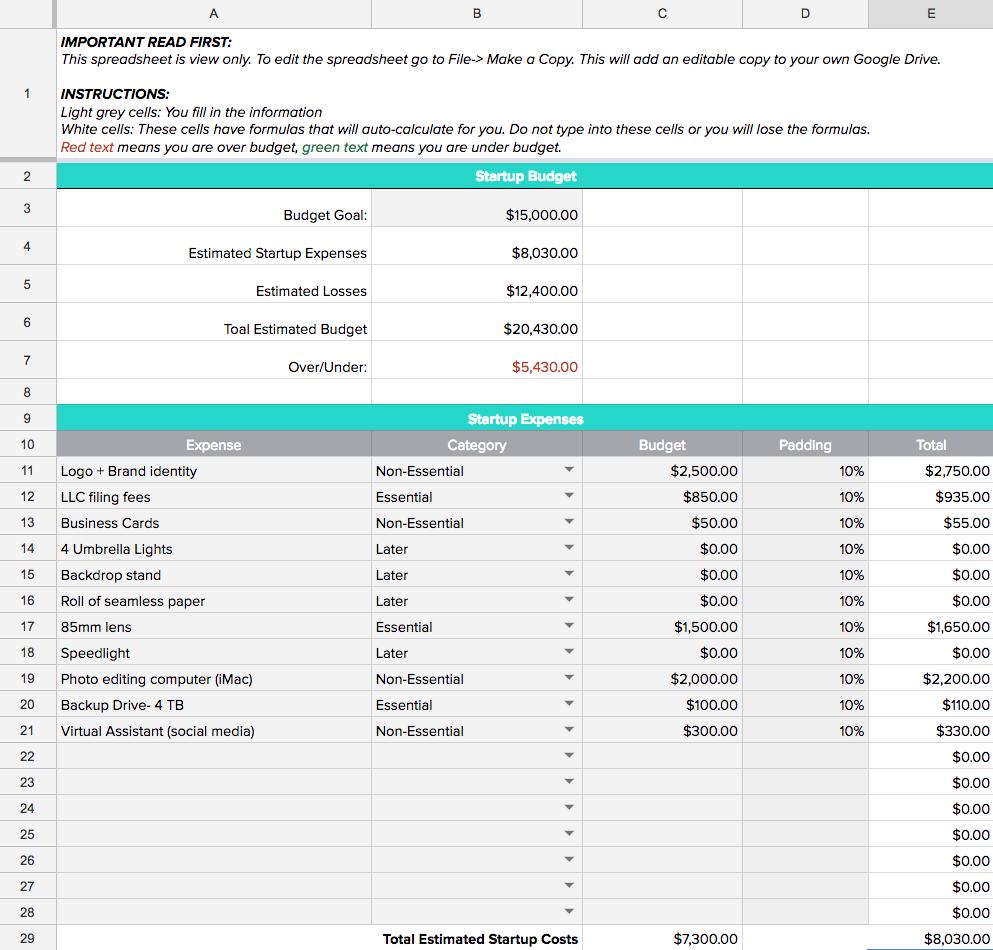 sample startup budget template