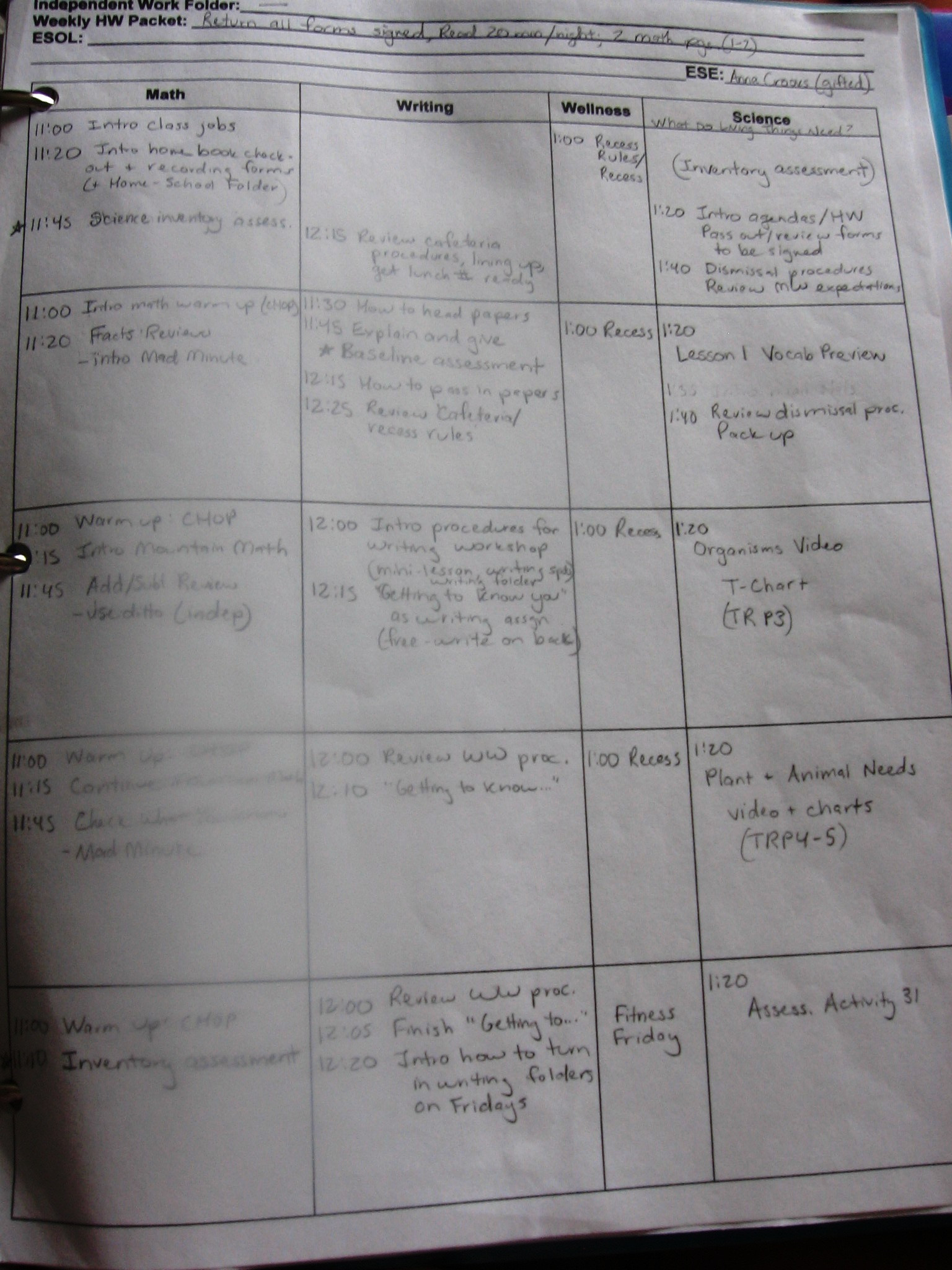 sample lesson planning for teachers template